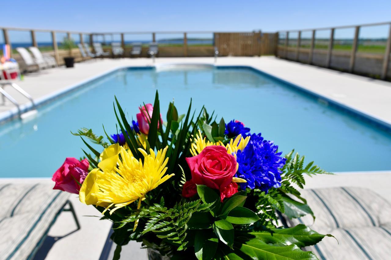 Bower On Cap Bimet Bower Hotels & Suites Grand Barachois Eksteriør billede