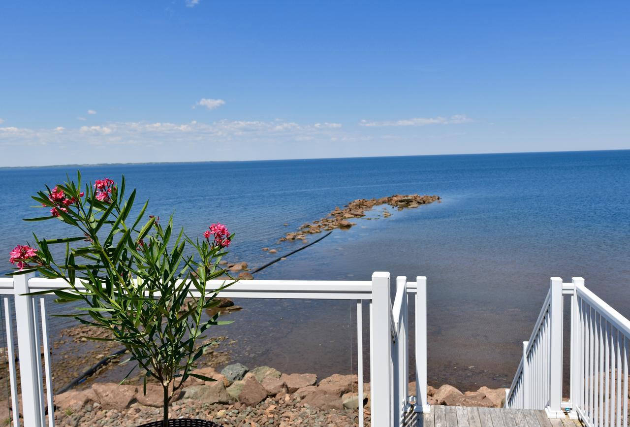 Bower On Cap Bimet Bower Hotels & Suites Grand Barachois Eksteriør billede